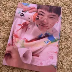 seventeen face the sun carat盤　バインダー　ホシ