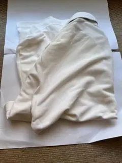 Item thumbnail for item 05113b8b-677a-44c1-9080-3957ae7fc536