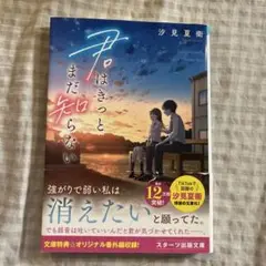 君はきっとまだ知らない