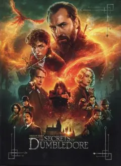 ファンタスティック・ビーストとダンブルドアの秘密【映画パンフレット】