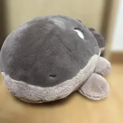 도오 푹신푹신 포옹 인형 포켓몬 센터