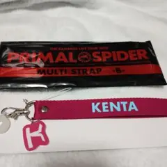 PRIMAL SPIDER MULTI STRAP -B- KENTA
