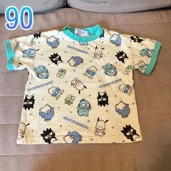 はぴだんぶい　Tシャツ 90サイズ