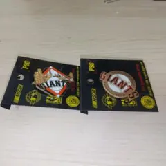 Item thumbnail for item a88702d5-8929-479f-8a5d-1264475d3916