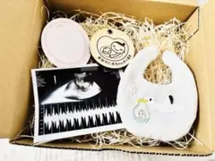 【完成品】妊娠報告サプライズ　ジェンダーリビール　スタイ（緑）