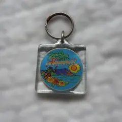 Hawaii ハワイ キーホルダー