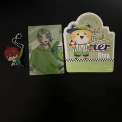 カラピチしばまとめ売り