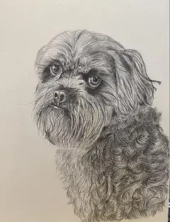 鉛筆画 子犬のドローイング アートB4ケント最終価格 鉛筆画 子犬のドローイング アートB4ケント最終価格 - メルカリ