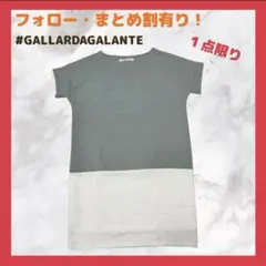 GALLARDAGALANTE 半袖ワンピース Green １点限り　送料無料