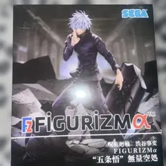 呪術廻戦　渋谷事変　五条悟　無量空処