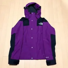 日本未発売 THENORTHFACE 1990 MOUNTAIN JKT GTX