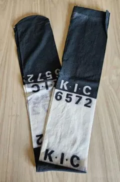 Item thumbnail for item 7317713d-6c43-4e0d-8a12-18deeb9f2cca