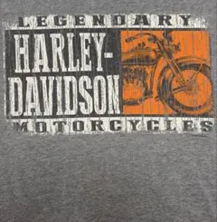 【グッドクラック】Harley-Davidson イーグル 両面プリント XLのサムネイル