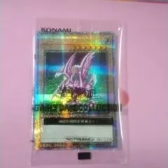 2026年最新】ホーリーナイトドラゴンクォーターセンチュリー
