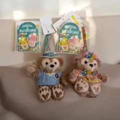 2013年　ダッフィー シェリーメイ キーホルダーセット
