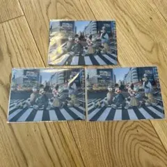 ディズニー　ハガキサイズのファイル