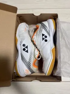 Item thumbnail for item ca2eb104-670b-4b8e-9b09-413c608001b8