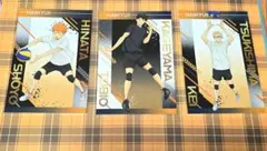 ハイキュー！！アニメイト特典カード　　　　烏野高校　1年生セット　合宿