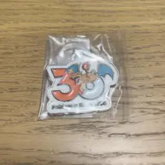 ポケモン30周年メタルチャームマスコット