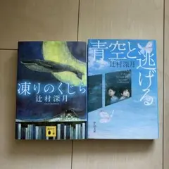辻村深月 凍りのくじら & 青空と逃げる　2冊セット