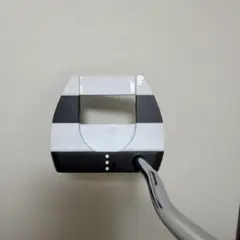 2025年最新】ジェイルバード カスタムの人気アイテム - メルカリ