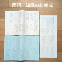 【SAPIX】サピックス 6年 国語 開成対策・最難関対策・語彙力完成等 小6 開成対策 サピックス 6年 2025年受験 日特/冬期/正月他 中古