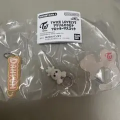 TWICE LOVELYS アクリルカラビナフロッキーマスコット ダブリー