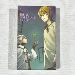 タロットカード Ideal soulmale tarot IDEAL SOULMALE TAROT 【Tarot Card, 78 Weighted Edition】