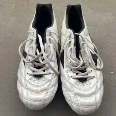 Item thumbnail for item 43e973cd-d2c2-4f07-bfae-59df7c8fc894