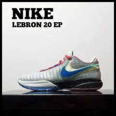 NIKE ナイキ レブロン 20 EP　メンズ　26cm