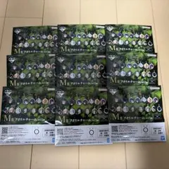 一番くじ 呪術廻戦 死滅回游 壱 M賞 アクリルチャーム 未開封9点セット