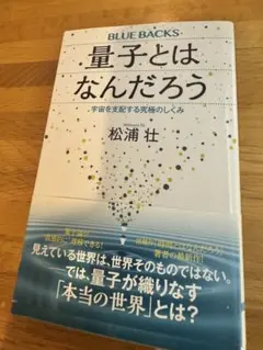 量子とはなんだろう 松浦壮 ブルーバックス