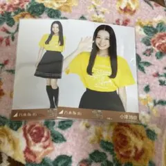 乃木坂46 小津玲奈 生写真 大阪 ライブTシャツ 真夏の全国ツアー