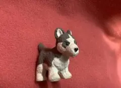 Item thumbnail for item 35b7e270-9d85-464f-ac20-caa703f2ea20