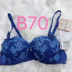 トリンプ レッドレーベル バイ 0099 ブラジャー ブルー B70