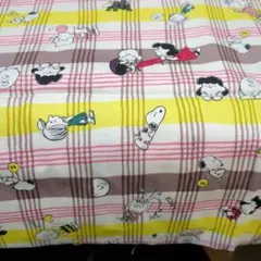 オックス生地チェック