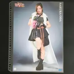 9858 モーニング娘。 小田さくら ピンナップポスター - 일본구매대행