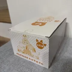 けものフレンズ　もちころりん　ボックス