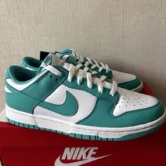 NIKE DUNK LOW RETRO WHITE/CLEAR JADE 27㎝