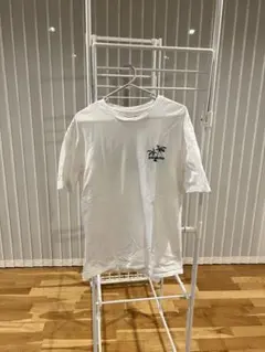 パタゴニアPatagonia patalohaハワイ限定　Ｔシャツ Sサイズ