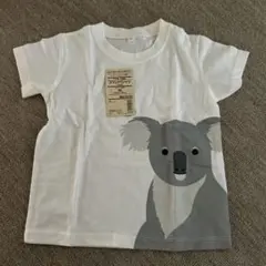 Item thumbnail for item 3b92ef1a-8717-4687-88a0-e9a09a3ef6e9