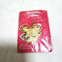 ディズニーランド　リメンバーザドリーム　チャーム