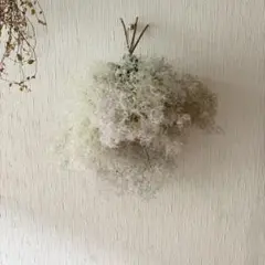 スモークツリー ボリューム スワッグ 38cm ＊ ふわふわ ミックスカラー
