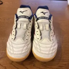 MIZUNO MONARCIDA NEO SALA SELECT 24.5cm