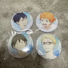 ハイキュー 水遊び 缶バッジ 日向翔陽 ハイキュー‼︎ 水遊び 缶バッジ 10BOX ハイキュー‼︎ 水遊び 缶バッジ