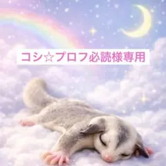 コシ☆プロフ必読様専用ページ