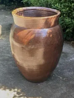 メダカのお家（ハウス) 睡蓮鉢　　６０✖️３５cm 陶器 メダカのお家（ハウス) 睡蓮鉢 60✖️35cm 陶器 - メルカリ