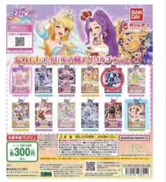 アイドル活動アクリルチャーム3 全15種