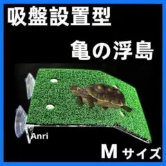카메노 우키시마 M 카메 일광욕 어항 인조 잔디 파충류 일광욕 껍질 건조