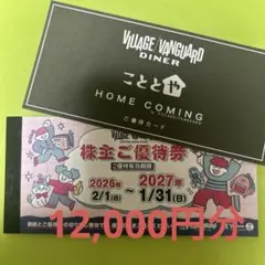 ヴィレッジヴァンガード 株主優待　12,000円　ご優待カードのサムネイル